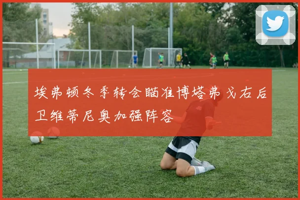 埃弗顿冬季转会瞄准博塔弗戈右后卫维蒂尼奥加强阵容