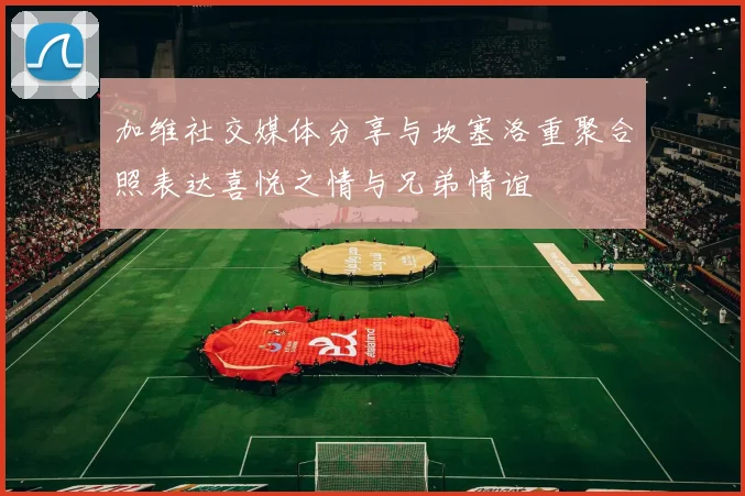 加维社交媒体分享与坎塞洛重聚合照表达喜悦之情与兄弟情谊