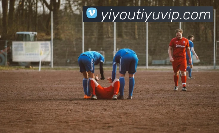 易游体育平台生态图