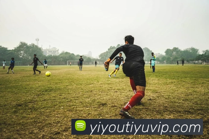 易游体育APP 封面图